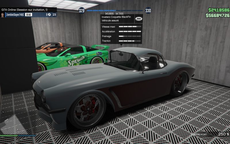 COQUETTE BLACKFIN
