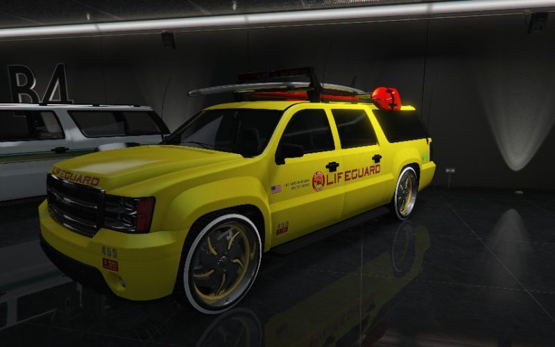 Declasse Lifeguard
