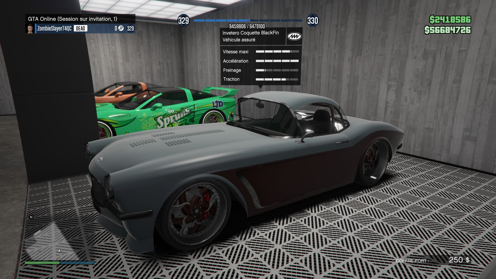 COQUETTE BLACKFIN