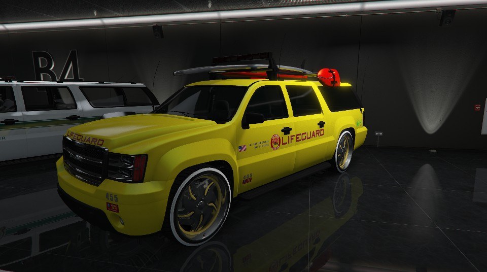 Declasse Lifeguard